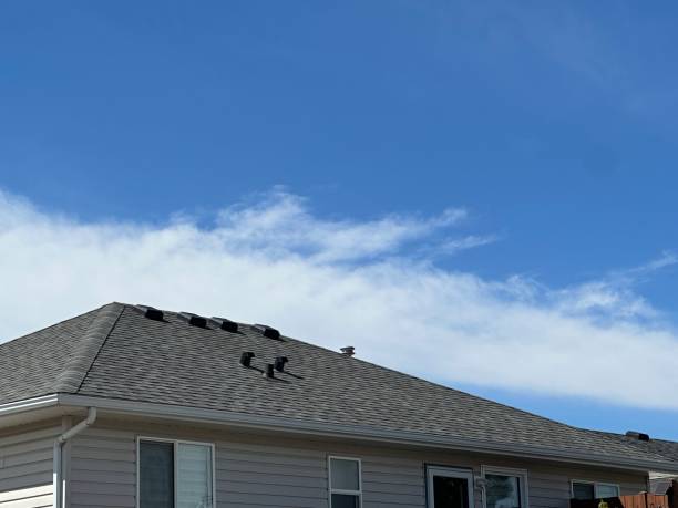 Steel Roofing in Waller, WA